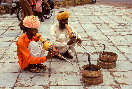 Amber, Jaipur, India - aug  04, 1996:  two snake charmers plays their flute while the cobra rises from the basket in Amber .   Vintage photo. Historical archive photo.