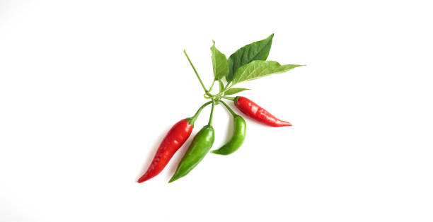 istock Pepper sprig with ripe and green peppers 1388259883