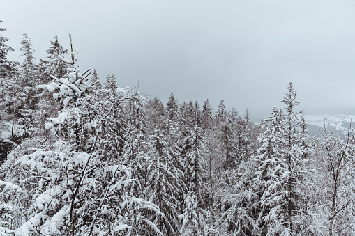 The winter in The Stołowe Mountains, southwestern Poland.