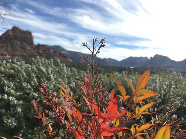 istock Sedona, Arizona in November. 1388262962