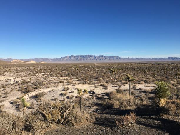 istock Area 51 in Nevada in November. 1388263787