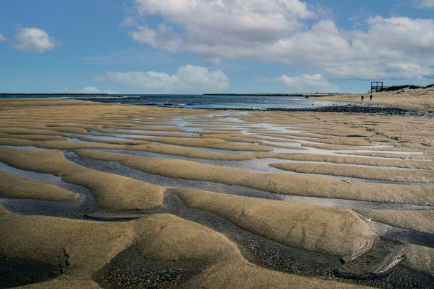 low tide at plum island - plum imagens e fotografias de stock