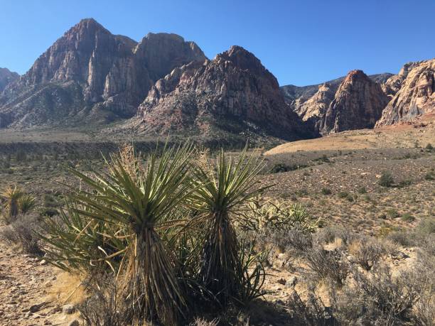 istock Red Rock Canyon, Nevada in November. 1388264065