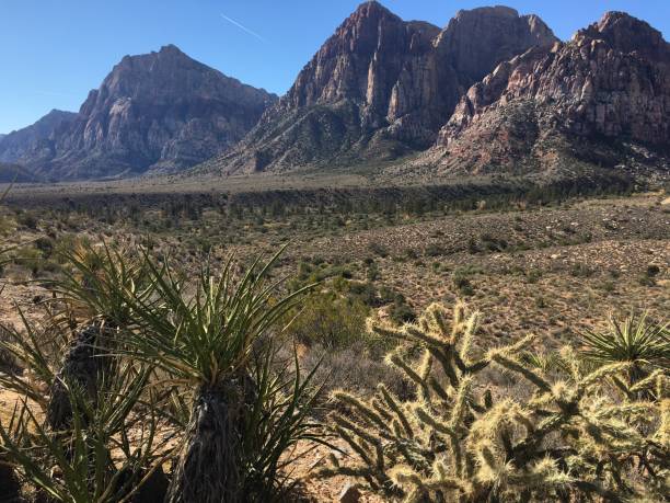istock Red Rock Canyon, Nevada in November. 1388264609