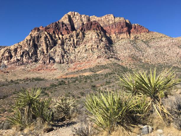 istock Red Rock Canyon, Nevada in November. 1388264646
