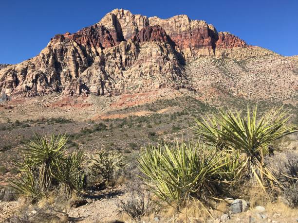 istock Red Rock Canyon, Nevada in November. 1388264648