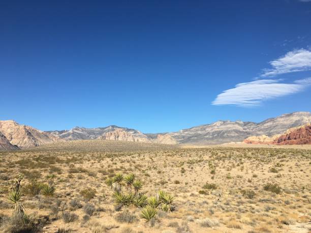 istock Red Rock Canyon, Nevada in November. 1388264897