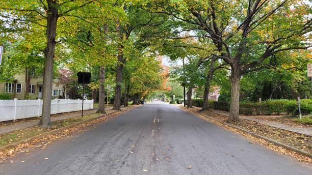istock Autumn streetway 1388268955