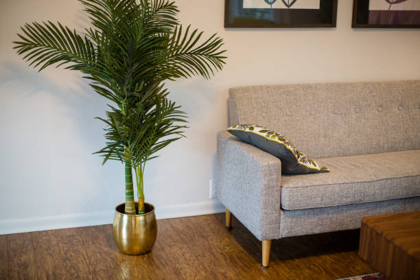 istock Modern Sofa Couch and Indoor House Plant 1388271159