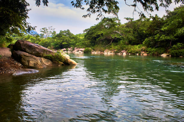 tropical forest with a green river on a cloudy day in the filobobos river veracruz - veracruz imagens e fotografias de stock