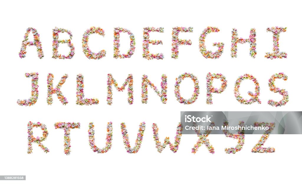 Flower font. Alphabet for kids. Holiday design, made from beautiful flowers. Flower Stock Photo