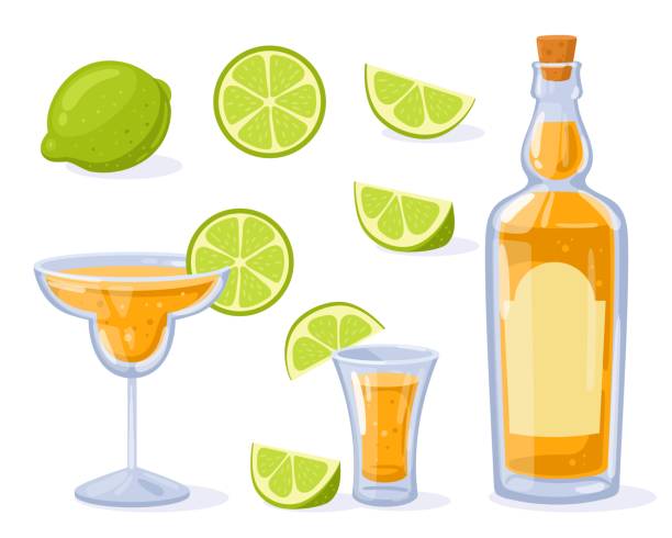 tequila-flasche, schnaps, glas mit tequila und limette. mexikanisches traditionelles alkoholisches getränk. vektorillustration im cartoon-stil. limette ganz, scheibe, geschnitten - tequila shot tequila salt lemon stock-grafiken, -clipart, -cartoons und -symbole