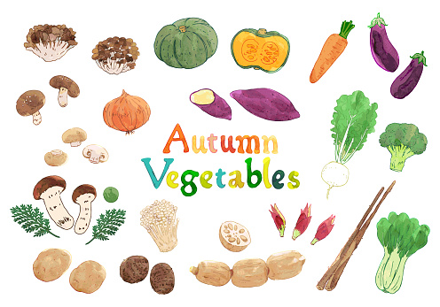 Hand-painted watercolor illustration set of autumn vegetables