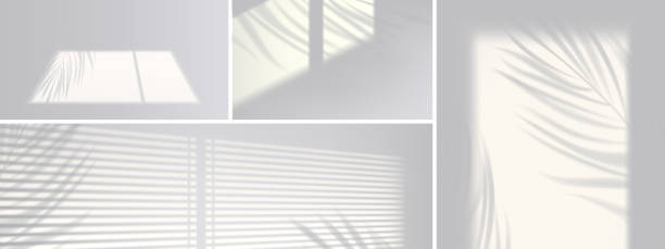 Shadow overlay effect backgrounds Shadow overlay effect backgrounds. Vector realistic mockup of room with sunlight from window and gray shades of blinds and plant leaves on white wall and floor window backgrounds stock illustrations