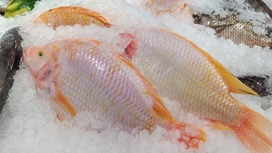 Fresh fish assorted on ice counter in supermarket, close up