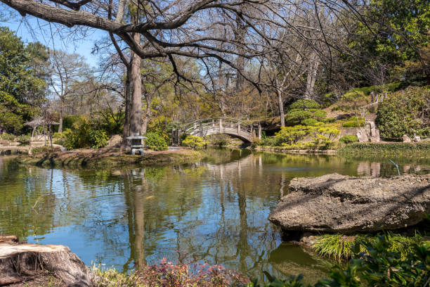 istock Beautiful springtime pond and an arch bridge over water 1388303302