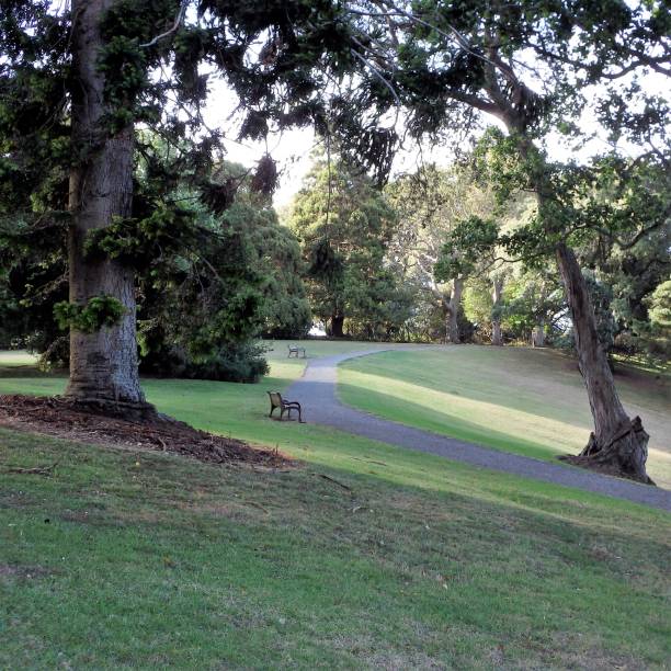 istock Park benches besides a pathway between trees at the public park 1388304495