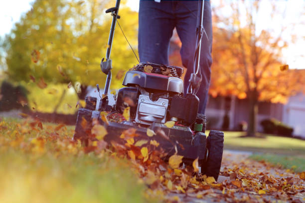 Mowing the grass with a lawn mower in sunny autumn. Gardener cuts the lawn in the garden stock photo
