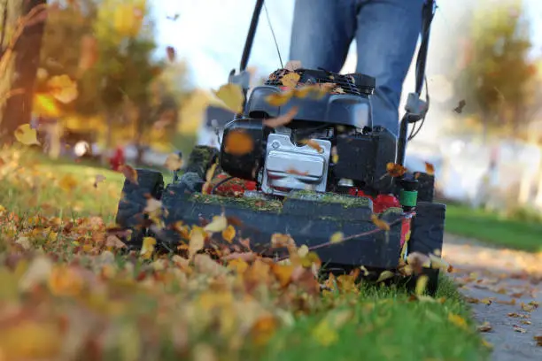 Photo of Mowing the grass with a lawn mower in sunny day. Gardener cuts the lawn in the garden