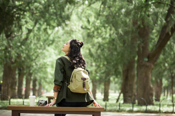 turista femenina descansando en el parque forestal - foto de archivo - hair bun asian ethnicity profile women fotografías e imágenes de stock