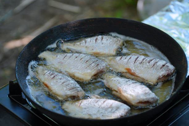 istock Small river fish is fried on a hike or fishing in camp pan 1388311789
