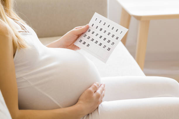 young adult pregnant woman with big belly sitting on sofa at living room at home. hand holding calendar and thinking about childbirth date. baby expecting concept. pregnancy time. closeup. side view. - pregnant count stockfoto's en -beelden