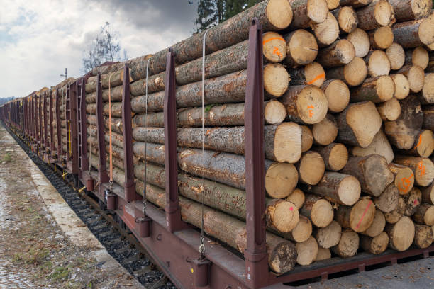 istock Transport of timber on railway wagons 1388322590