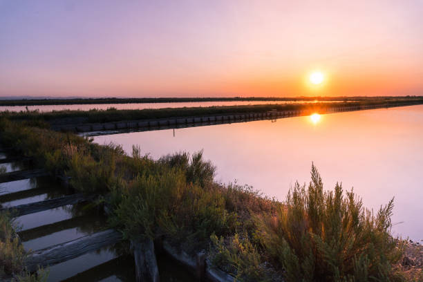 istock Salterns of Cervia 1388325978
