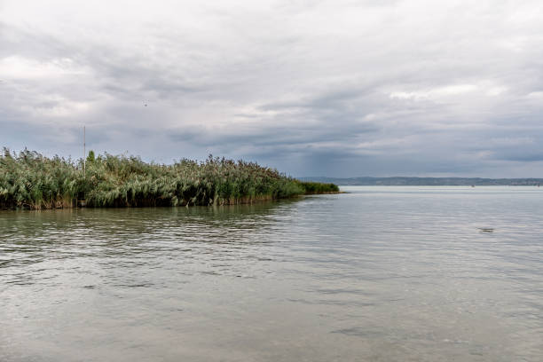 istock Balaton Lake shore in Hungary. Cloudy sky as background. 1388326155