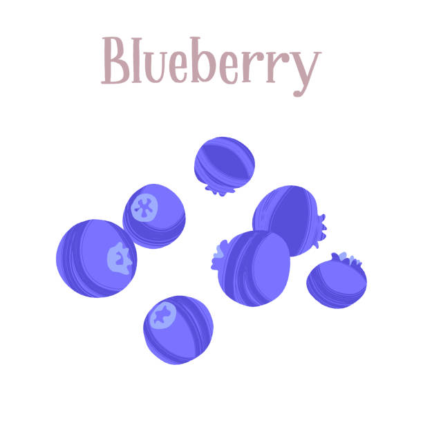 新鮮でおいしいブルーベ��リー。健康的な栄養製品。 - blueberry white background blue heap点のイラスト素材／クリップアート素材／マンガ素材／アイコン素材