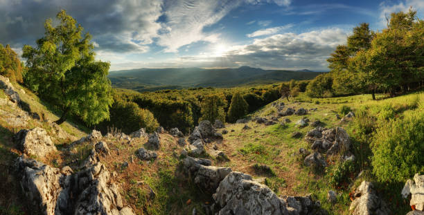 Carpathian green mountain with sun