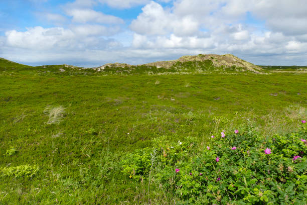 Impression of Sylt, part of the North Frisian Islands in Germany