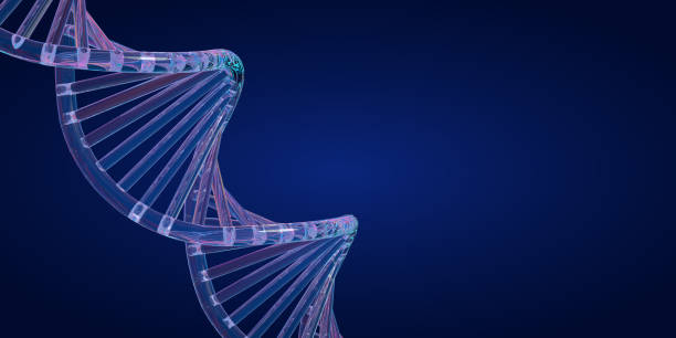 istock DNA molecule double helix spiral in 3D glass effect on dark blue 1388332488