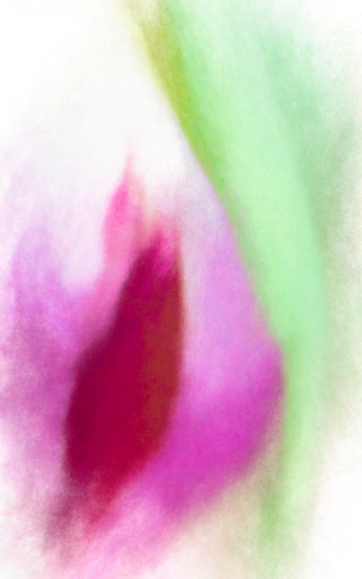 Extreme close-up of wilted tulip flowers for use as a background.