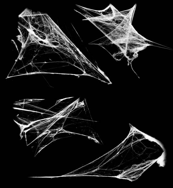 istock Overlay the cobweb effect. A collection of spider webs isolated on a black background. Spider web elements as decoration to the design. Halloween Props 1388344739