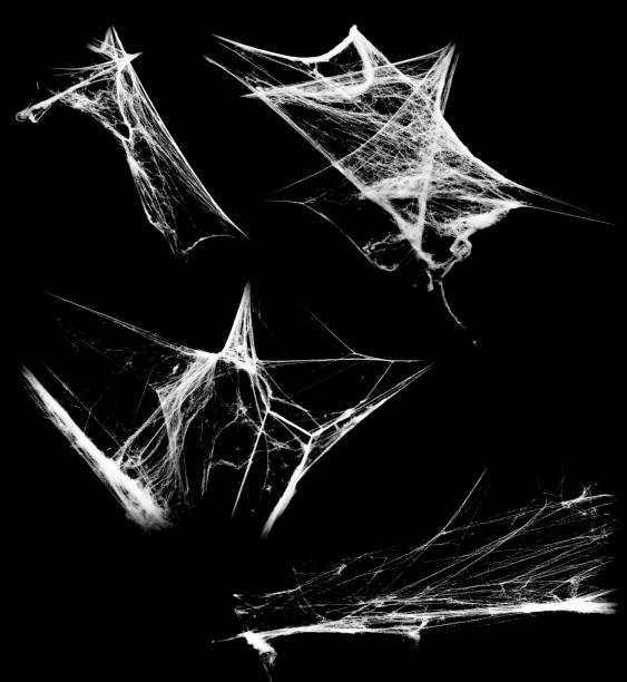 istock Overlay the cobweb effect. A collection of spider webs isolated on a black background. Spider web elements as decoration to the design. Halloween Props 1388344745