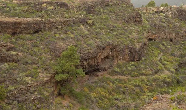 Photo of La Palma, landscape of the western steep coastal part of the island, Tijarafe municipality, 
path to amazing small hamlet Poris de Candelaria