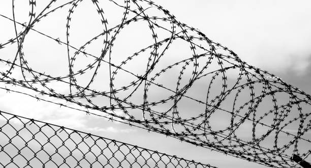 istock barbed wire over a metal fence - security or reclusion concept 1388345398