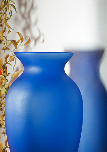 blue glass vase and plant with shadow in interior