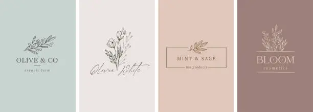 Vector illustration of Elegant, botanique logo collection, hand drawn illustrations of flowers, leaves and twig, delicate and minimal monogram design