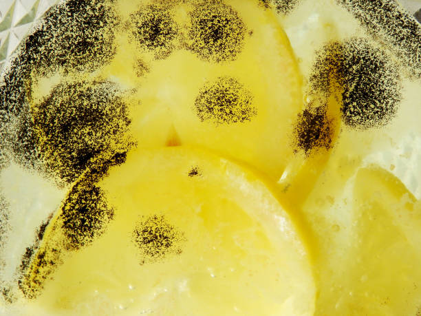 tranches de citron moisies dans l’eau - rotting food mold fruit photos et images de collection