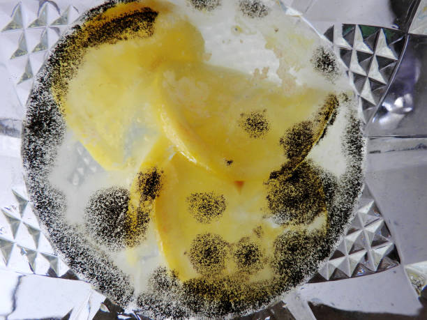 tranches de citron moisies dans l’eau - rotting food mold fruit photos et images de collection