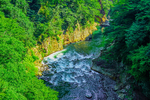The Tolmin Gorge, locally known as Tolminka and Zadlaica Gorges, a popular tourist destinaton in the  Triglav National Park. Tolmin Municipality. Gorizia Region. Slovenia.