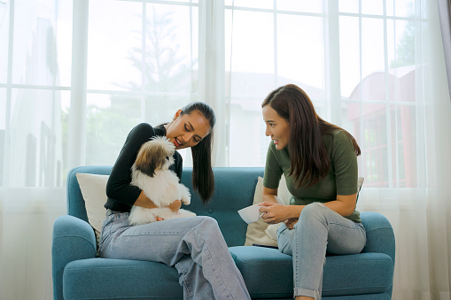 Young women are playing with little cute dog at home. Pleasures and happiness at home. Happy life concept.
