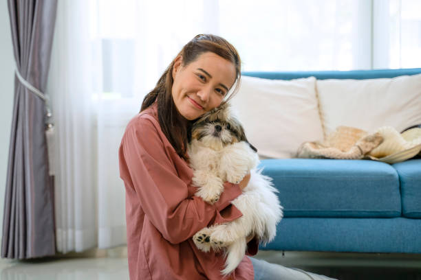 mulheres jovens estão brincando com um cachorrinho bonito em casa. - pets embracing one person portrait - fotografias e filmes do acervo