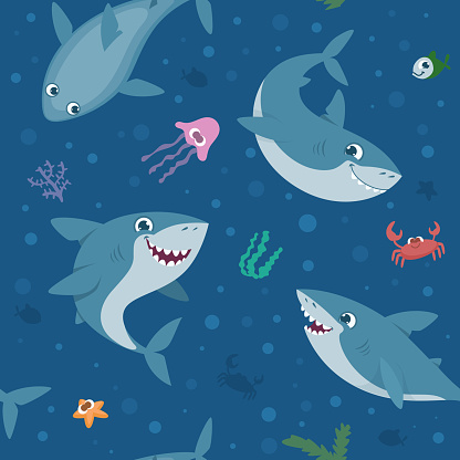 Shark pattern. Wild cartoon underwater swimming animals exact vector seamless background in cartoon style