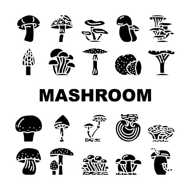버섯 야채와 곰팡이 아이콘 세트 벡터 - 잎새버섯 stock illustrations
