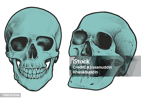 istock Vintage hand drawn dotted skull 1388363566
