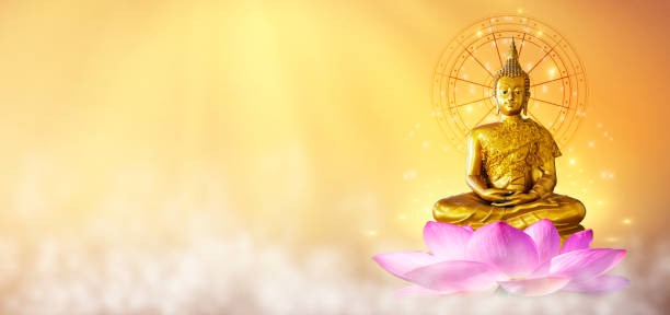 buddha statue wasser lotus buddha auf lotus-blume auf orangem hintergrund stehend - buddha image stock-fotos und bilder