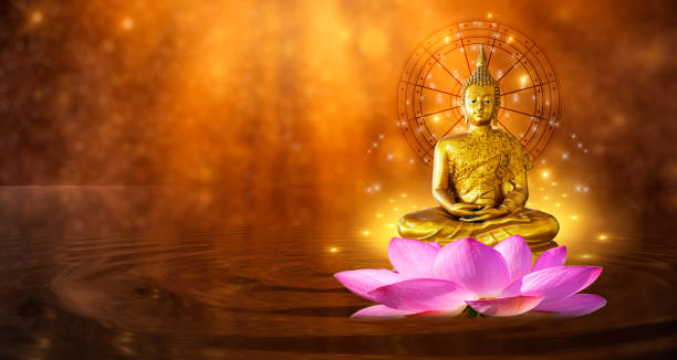 buddha statue wasser lotus buddha auf lotus-blume auf orangem hintergrund stehend - buddha image stock-fotos und bilder